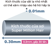 An toàn cho hô hấp